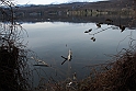 Avigliana Lago Grande In Inverno_076